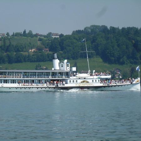 费瑞沃航拉珀斯韦尔度假屋 Rapperswil-Jona 外观 照片